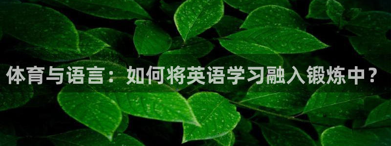 betway西汉姆：体育与语言：如何将英语学习融入锻炼中？