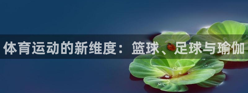 betway西汉姆联官网：体育运动的新维度：篮球、足球与瑜伽