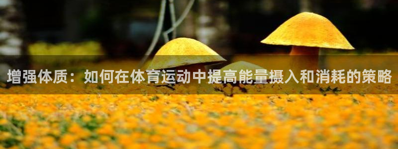 必威betway西汉姆联：增强体质：如何在体育运动中提高能量摄入和消耗的策略