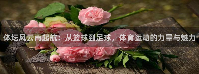 betway西汉姆：体坛风云再起航：从篮球到足球，体育运动的力量与魅力