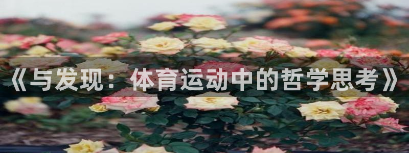 betway西汉姆官网：《与发现：体育运动中的哲学思考》