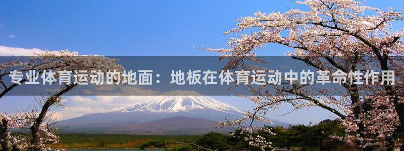 必威betway西汉姆联：专业体育运动的地面：地板在体育运动中的革命性作用