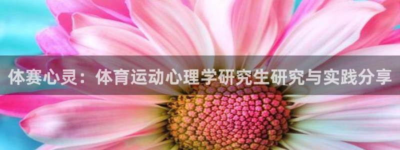 betway西汉姆联