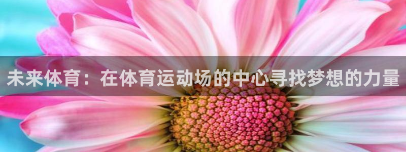 betway西汉姆联官网：未来体育：在体育运动场的中心寻找梦想的力量
